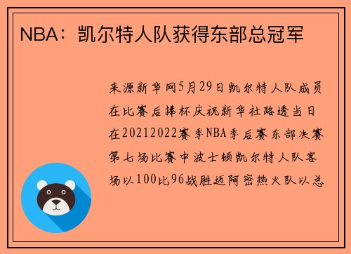NBA：凯尔特人队获得东部总冠军